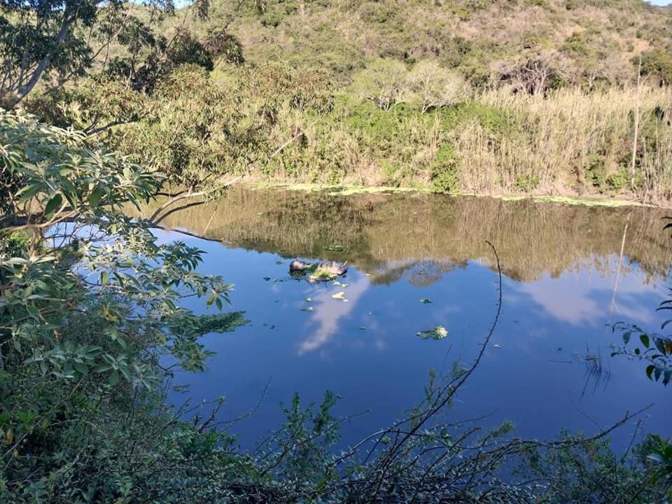 东伦敦Fish Eagle Manor住宿加早餐旅馆 外观 照片
