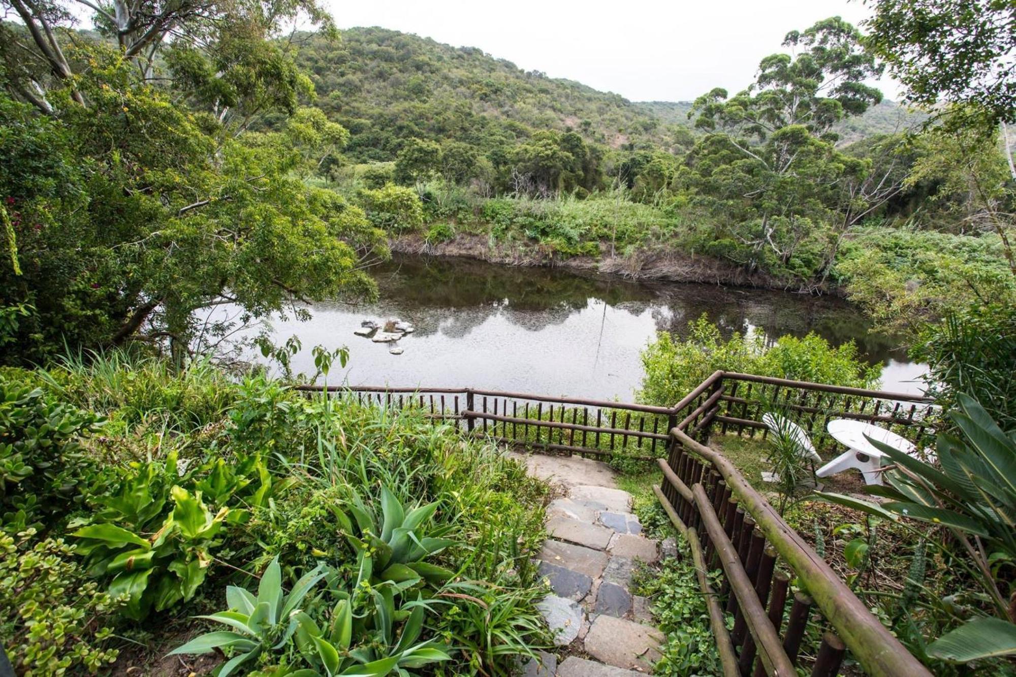东伦敦Fish Eagle Manor住宿加早餐旅馆 外观 照片
